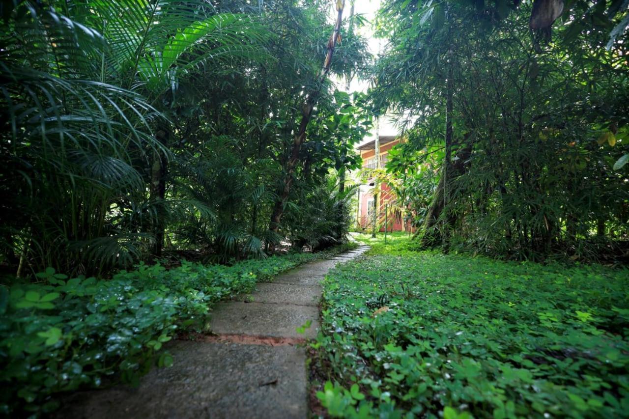 Wayanad Green Park Resort Ambalavayal Exterior photo