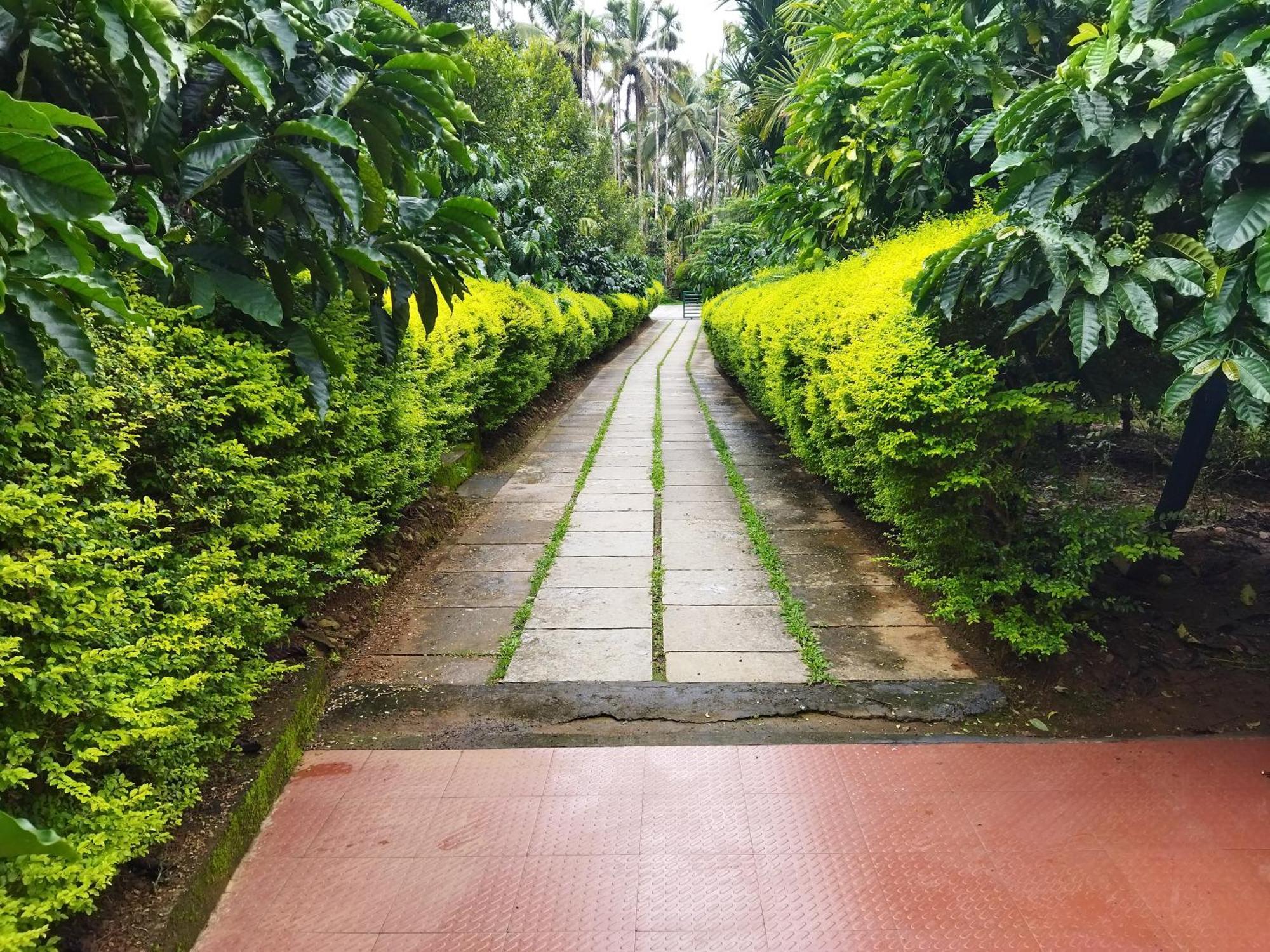 Wayanad Green Park Resort Ambalavayal Room photo