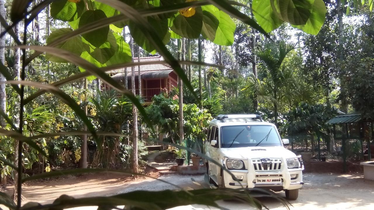 Wayanad Green Park Resort Ambalavayal Exterior photo