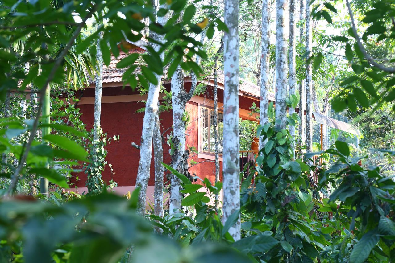 Wayanad Green Park Resort Ambalavayal Exterior photo