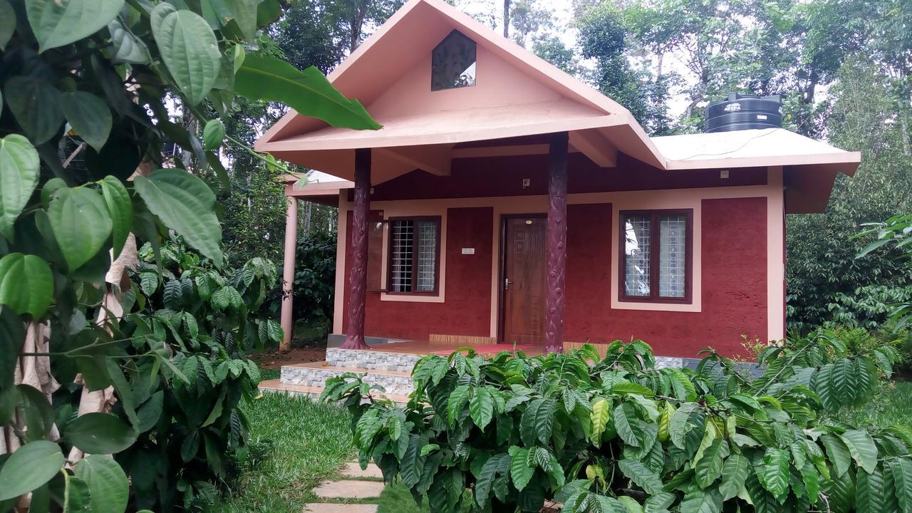 Wayanad Green Park Resort Ambalavayal Exterior photo