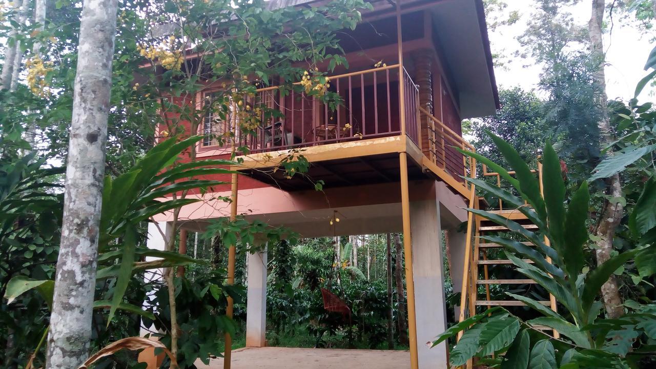 Wayanad Green Park Resort Ambalavayal Exterior photo