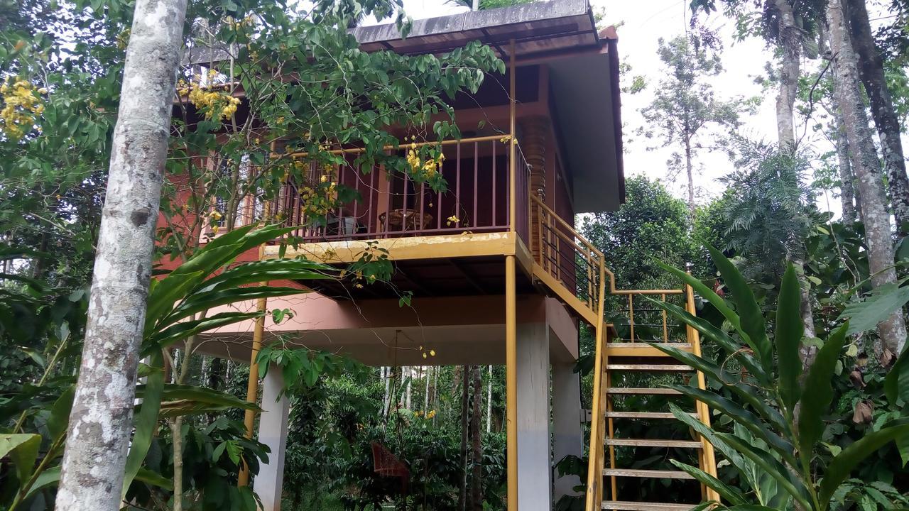 Wayanad Green Park Resort Ambalavayal Exterior photo